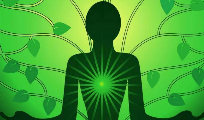 heart-chakra-color
