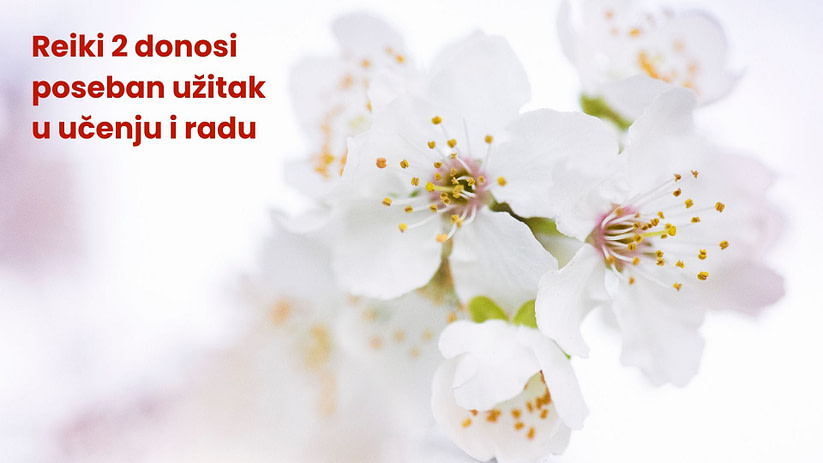 Okuden reiki je posebna avantura